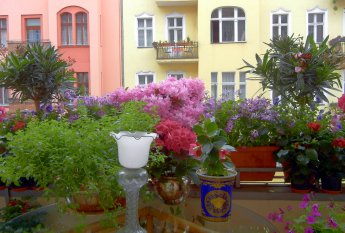 Die Loggia