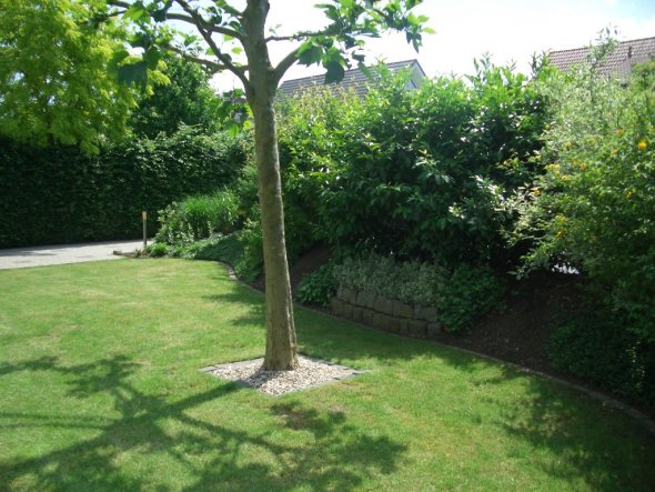 Garten 'Mein Garten'