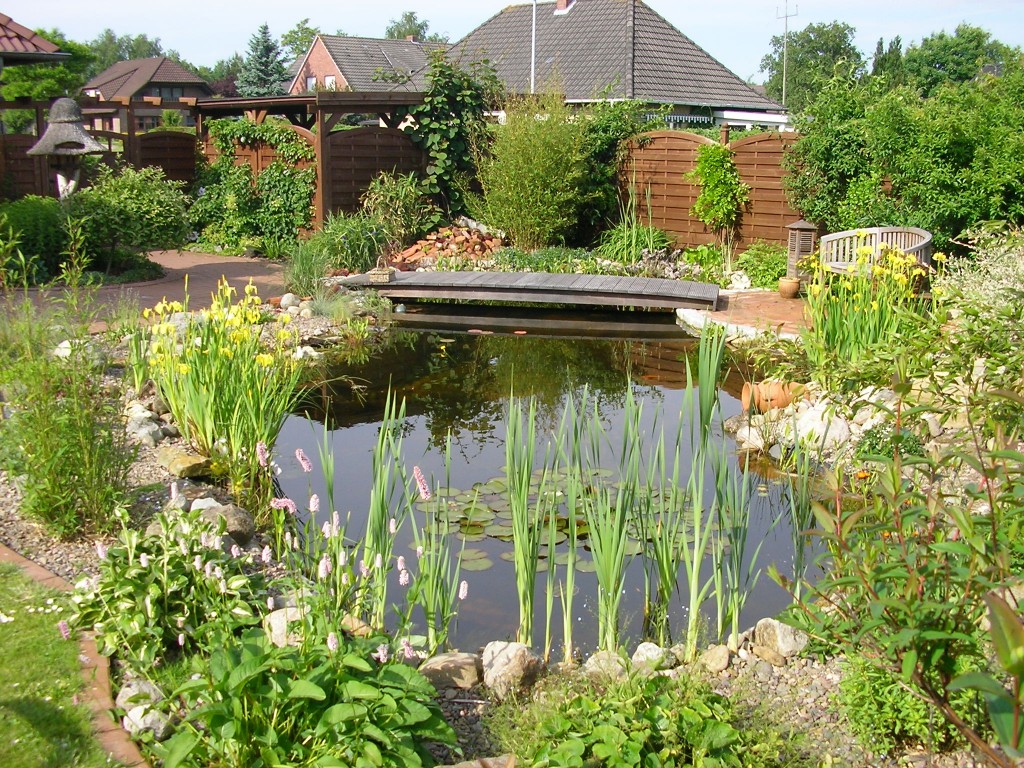 58+ Mein Teich, Die optimale tiefe eines gartenteichs hängt von der