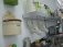 Wohnzimmer 'Wohnraum'