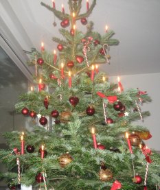 alle Räume 'Weihnachten 08'