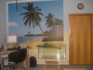 Arbeitszimmer / Büro 'arbeiten mit urlaubsfeeling'