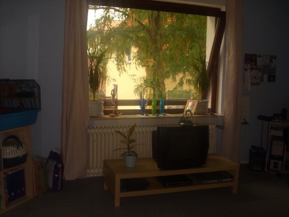 Arbeitszimmer / Büro 'arbeiten mit urlaubsfeeling'