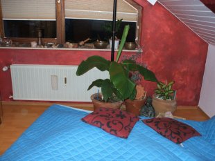 Wohnzimmer 'Feng Shui'