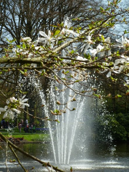 Garten 'Impressionen '