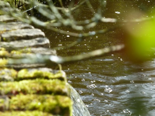 Garten 'Impressionen '