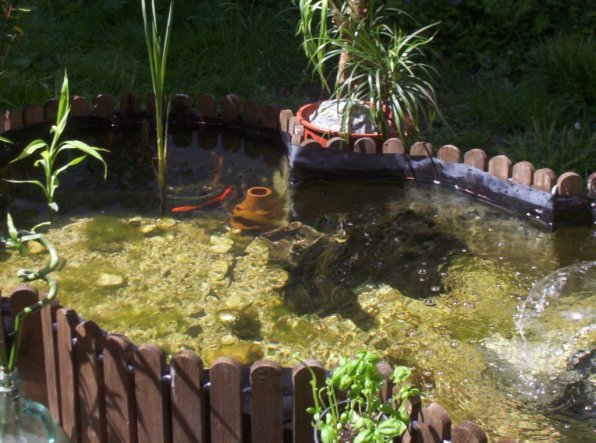 Terrasse / Balkon 'Mein Gartenteich'