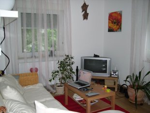 Izabella´s kleine Wohnung 