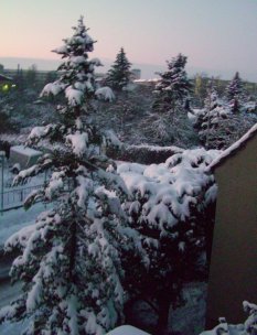 Hausfassade / Außenansichten 'Januar im Schnee versunken'