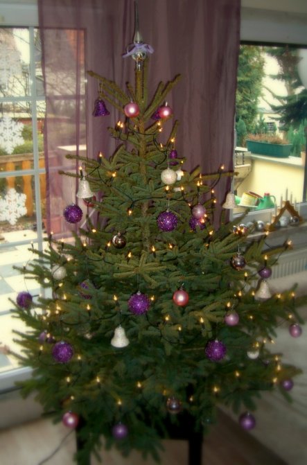 Weihnachtsdeko 'Weihnachten 2011'