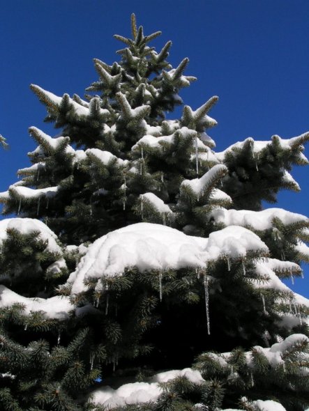 Hausfassade / Außenansichten 'Winterwunderland'