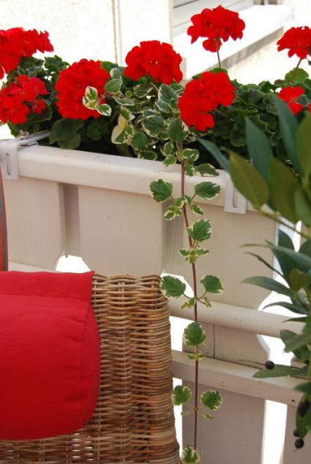 Terrasse / Balkon 'Balkon 2009'