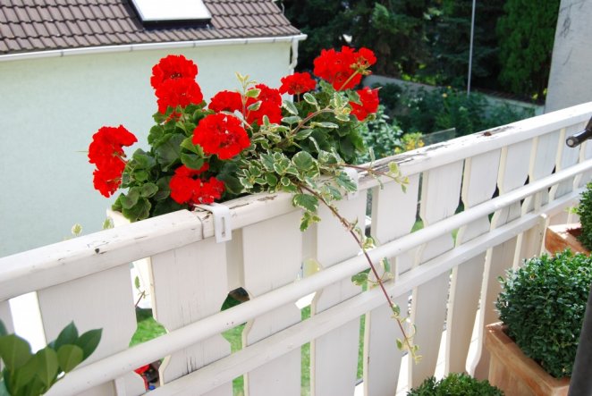 Terrasse / Balkon 'Balkon 2009'