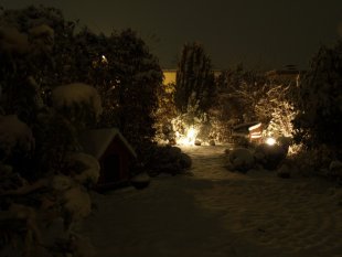 Garten im Schnee