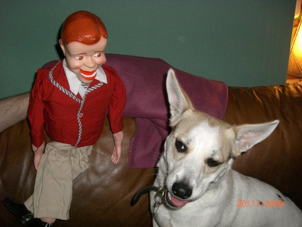 Wäh ist diese Bauchrednerpuppe hässlich :-) Wo der Hund recht hat, hat er recht!