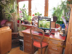 Wohnzimmer 2010 in rotbraun