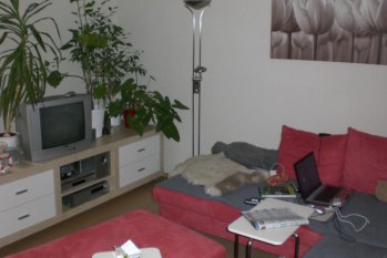 Mein Wohnzimmer