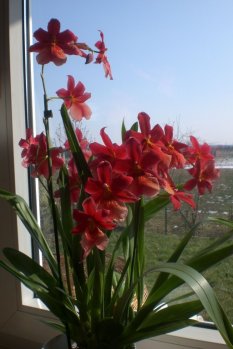 alle Räume 'Mein Raum'