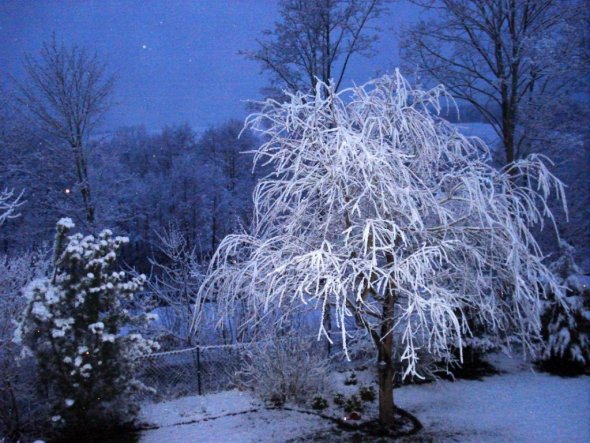 Weihnachtsdeko 'Advent/Weihnacht/Winter'