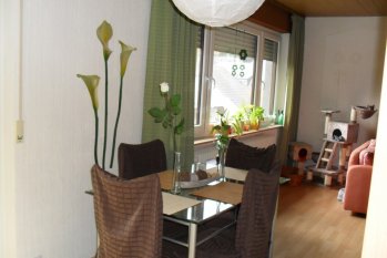Wohnzimmer mit Esszimmer