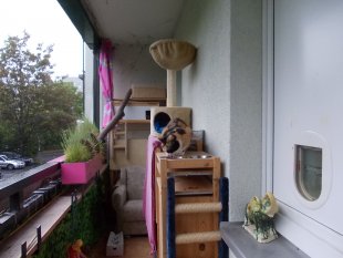 Ein kleines Stück vom Glück
