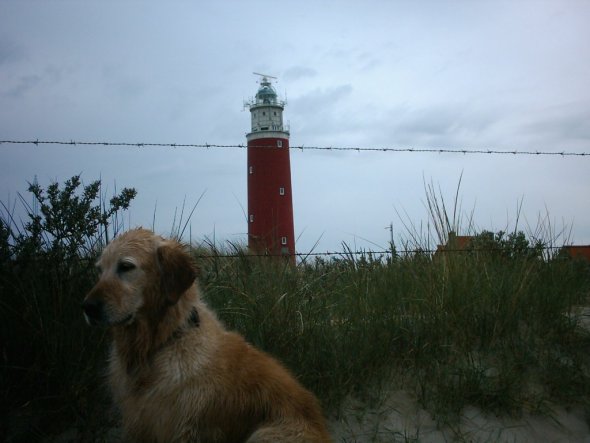 Hobbyraum 'Leuchtturm Texel'