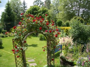 alle Räume 'Balkonien und Garten'