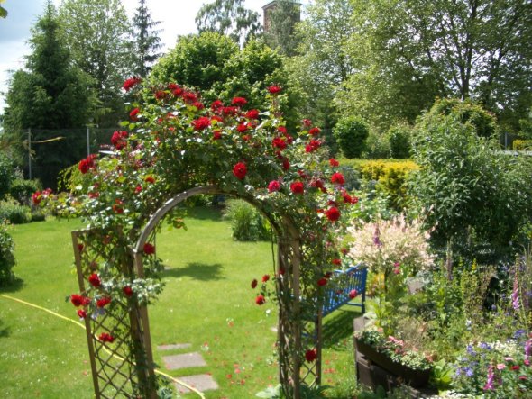 Garten 'Balkonien und Garten'