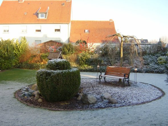 im Winter beliebter Tummelplatz der Vögel zur Nahrungsaufnahme.