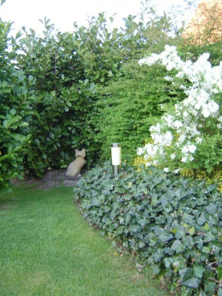 Garten '"Mitbewohner"'