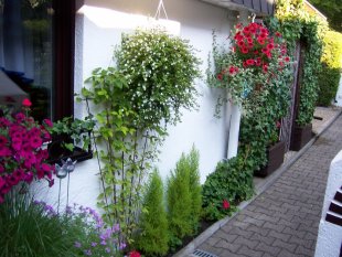 Terrasse / Balkon 'TERRASSE'