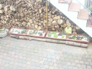 alle Räume 'Mein Raum'