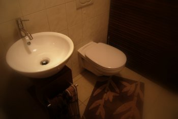 For Guest