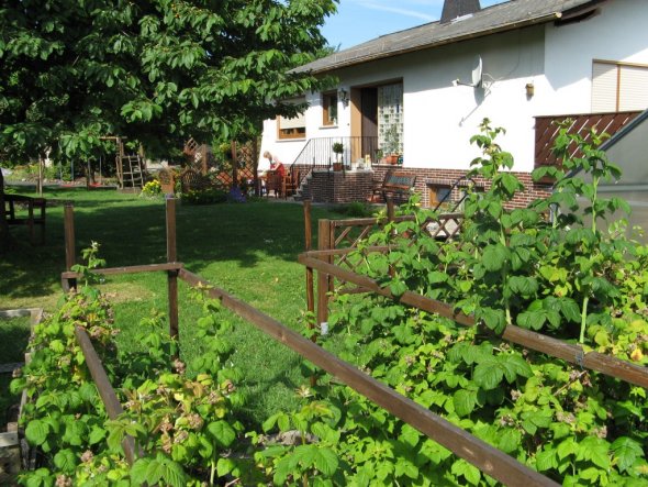 Blick durch die Himbeeren über die Wiese auf's Haus - vor dem Anbau 2012.