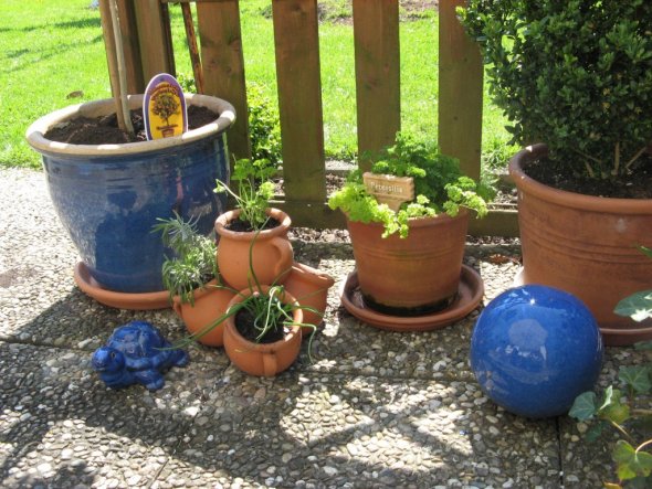 Kräuter und Topfpflanzen auf der Terrasse