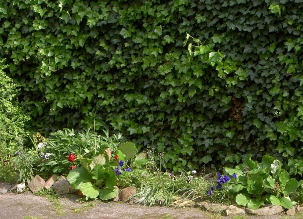 Garten 'Garten Rundgang 1'