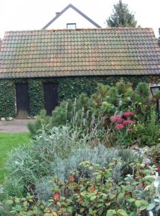 Garten - Hang an der Terrasse