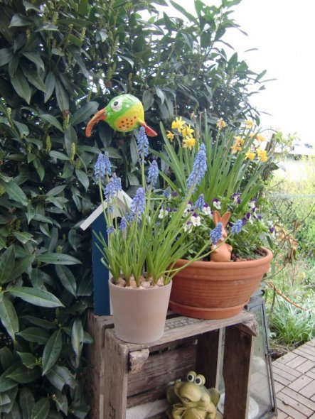 Terrasse / Balkon 'Terrasse´10'