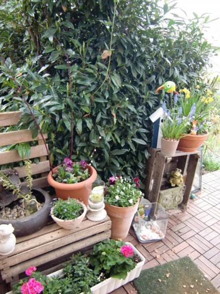 Terrasse / Balkon 'Terrasse´10'