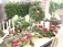 Bilder von der Terrasse.