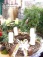 Bilder von der Terrasse mit Weihnachtsdeko.