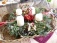 Deko 'Neue deko Weihnachten 2009'