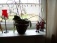 Deko 'Neue deko Weihnachten 2009'
