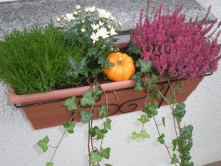 Herbst 2009