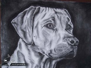 alle Räume 'Zeichnungen'