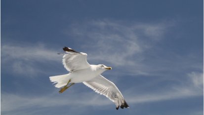 alle Räume 'Otok Krk 2012'