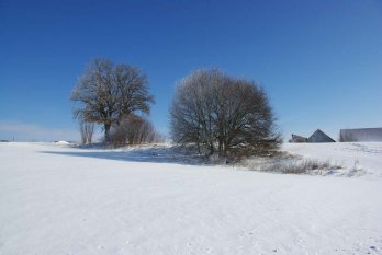 Winterimpressionen