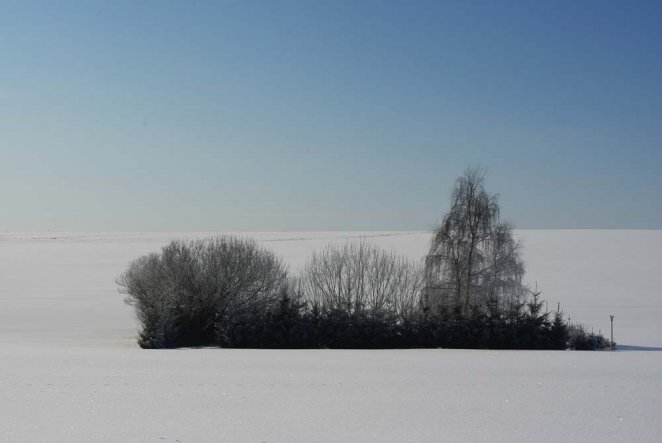 Garten 'Winterimpressionen'