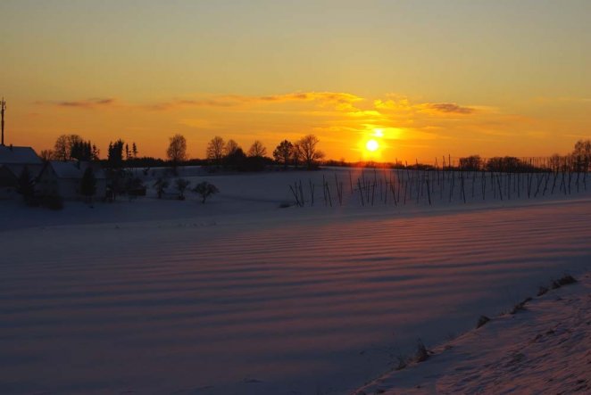 Garten 'Winterimpressionen'