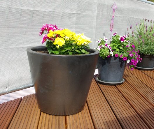 Terrasse / Balkon 'Blumen auf der Dachterrasse'